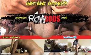 RawRods1 300x182 - Twink Sex HD