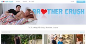Brother Crush Site Review MyGayPornList 001 gay porn pics 300x156 - Kink University