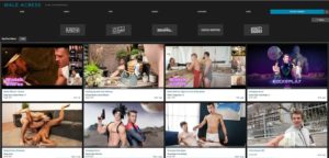 Male Access Honest Gay Porn Site Review 300x144 - Bromo