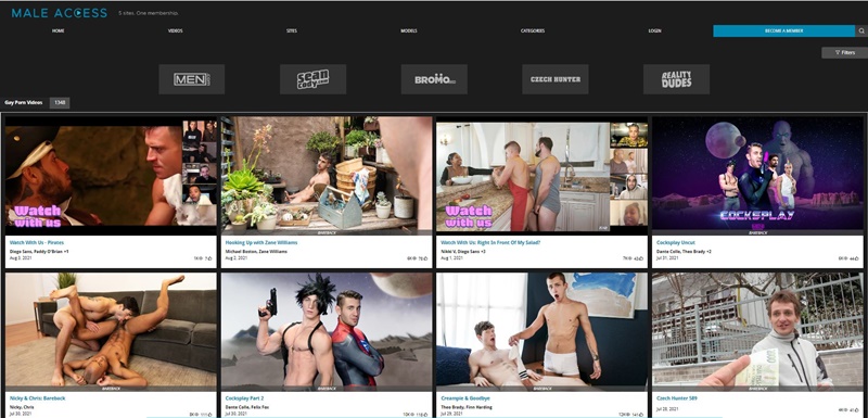 Male Access Honest Gay Porn Site Review - Male Access